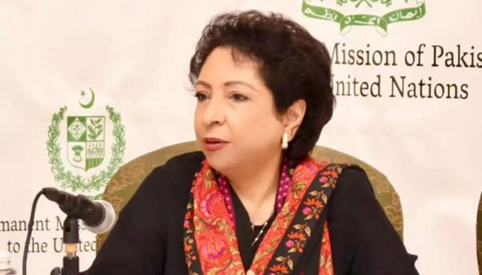 Pakistan’s former Ambassador to the United Nations Maleeha Lodhi. — APP/File