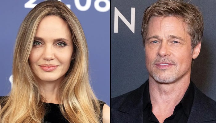 Angelina Jolie and Brad Pitt winery dispute is still on hold