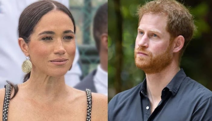 Meghan Markle and Prince Harry deal with Netflix is set to expire in the autumn of next year