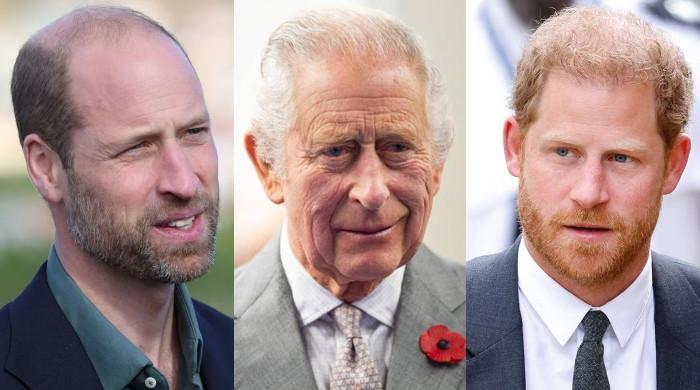 King Charles plans massive shock for Prince Harry in opposition to William’s want