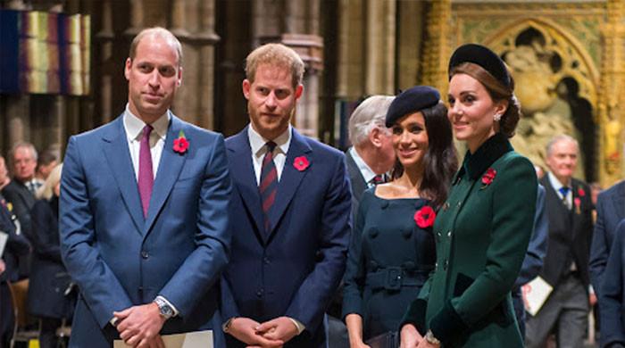 Harry, Meghan’s ‘company’ method vs. Kate and William maintain it private