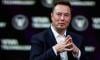 'President Musk' begins exerting 'influence' in Washington politics 