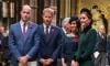 Harry, Meghan's 'corporate' approach vs. Kate and William keep it personal