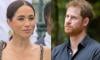 Meghan Markle, Prince Harry's Netflix series 'Polo' faces severe criticism