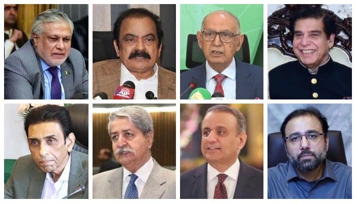 (Clockwise from top left to right) Finance Minister Ishaq Dar, PML-N leader Rana Sanaullah, Senator Irfan Siddiqui, Pervaiz Ashraf, Chaudhry Salik Hussain, Abdul Aleem Khan, Naveed Qamar and Khalid Maqbool Siddiqui.