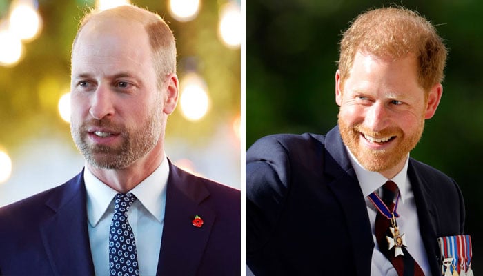 Prince Harry, William’s mutual pal shares rare update on reunion in 2025