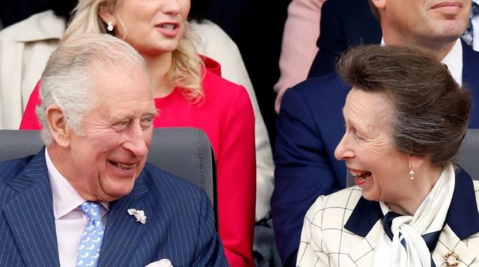 Princess Anne's Christmas gift to King Charles revealed