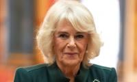 Royal Family Issues Statement As Queen Camilla Leaves UK 