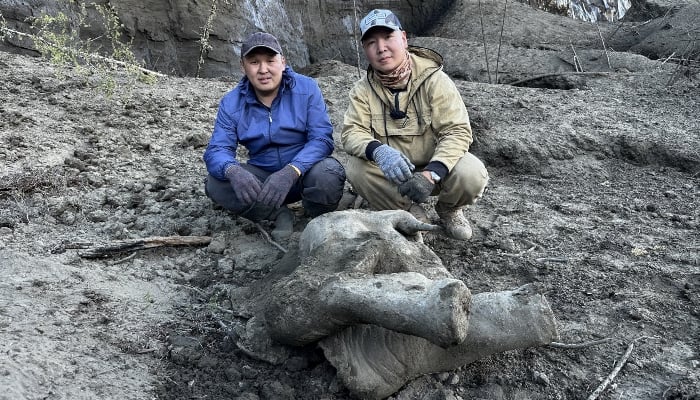 Researchers Gavril Novgorodov and Erel Struchkov pose for a picture next to the carcass of a baby mammoth in the Verkhoyansky district of the Sakha Republic, also known as Yakutia, Russia, on June 13, 2024. —Reuters