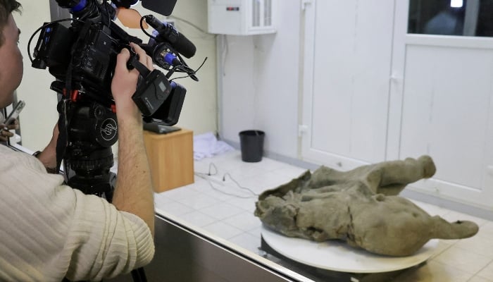 The carcass of a baby mammoth is seen behind glass fencing during a demonstration in the laboratory of the Mammoth Museum at the North-Eastern Federal University in Yakutsk, Russia, on December 23, 2024. —Reuters