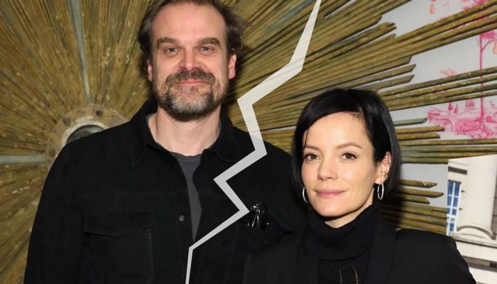 Lily Allen joins dating app amid split rumours with David Harbour