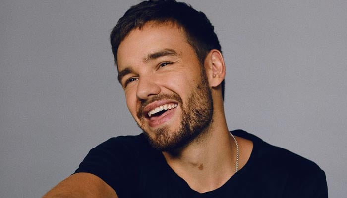 Inside Liam Paynes heartbreaking Christmas wish