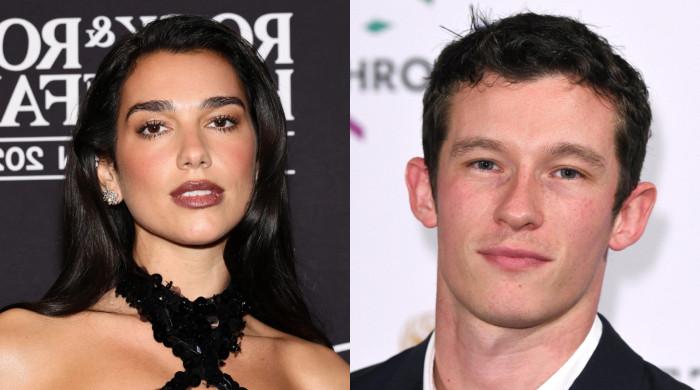 Dua Lipa, boyfriend Callum Turner share heartwarming glimpses from 'holidays'