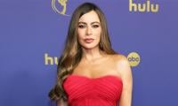 Sofia Vergara Embraces Single Life As Interested Suitors Line Up