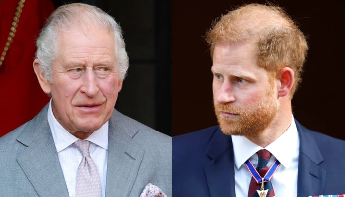 King Charles makes final call about Prince Harry’s future in royal family