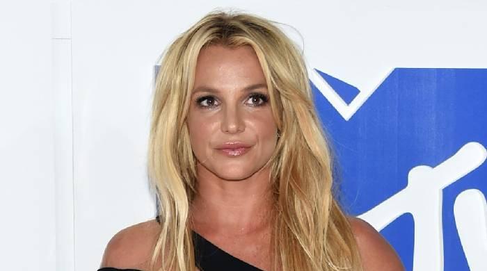 What Britney Spears’ teen sons actually consider her on-line antics after reunion