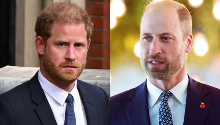 Prince Harry plans UK visit as Palace takes surprise decision for William