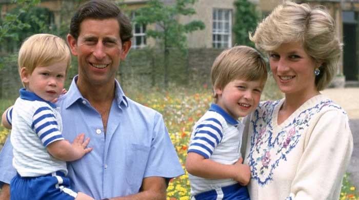 Prince William reveals large reality about Princess Diana as he prepares to turn into King