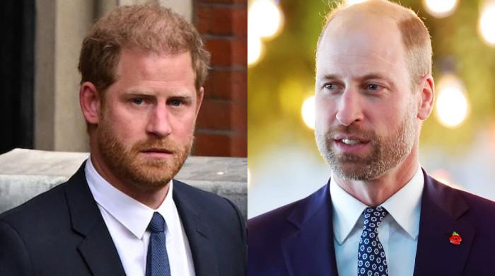 Prince Harry plans UK visit as Palace takes surprise decision for William