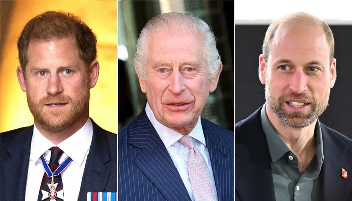 Prince Harry’s new move blocks reunion with King Charles, William in 2025