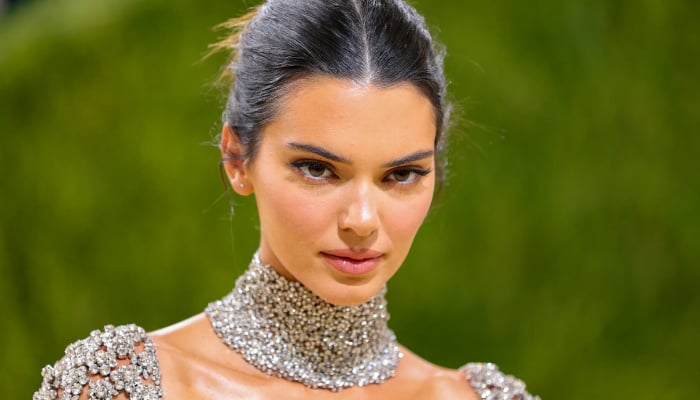 Kendall Jenner shares glimpse into festive Christmas eve party