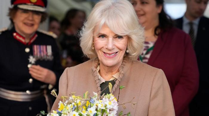 Queen Camilla depends on key ‘companion’ throughout difficult occasions