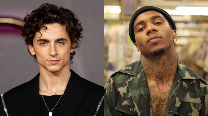 Timothée Chalamet claims his profession took off due to Lil B