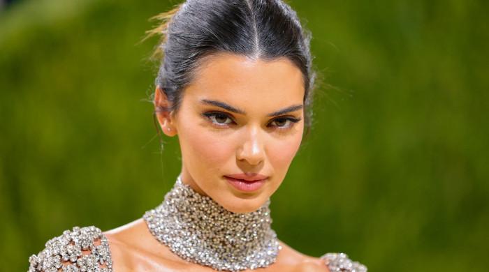 Kendall Jenner shares glimpse into festive Christmas eve occasion