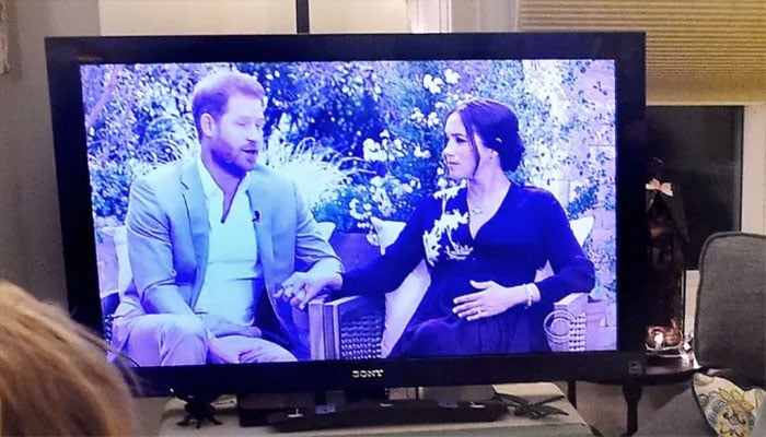 Why Meghan Markle pressed pause on reality TV?