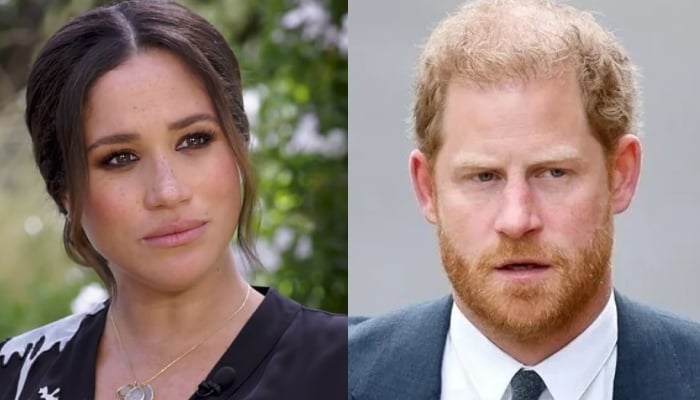 Meghan Markle reacts to Prince Harry separation: panic