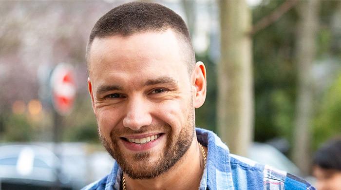 Liam Payne psychiatrist unveils surprising particulars publish 1D member’s demise