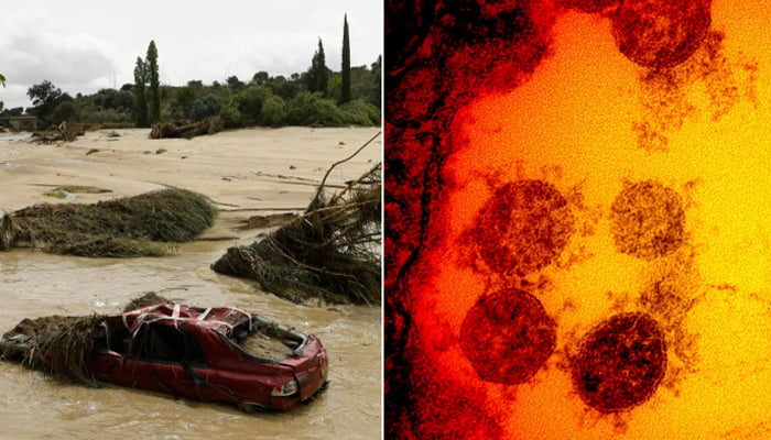 A destroyed car in the middle of a river in the town of Aldea del Fresno, in the Madrid region of Spain (L) and the Sars-CoV-2 virus particles, isolated from a patient, captured and colour-enhanced. — AFP/File