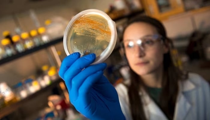 A representational image of a lab worker in a lab. — AFP/File