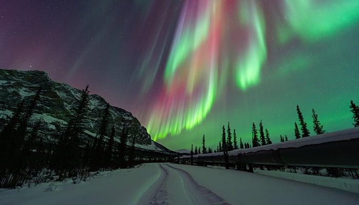 Aurora borealis gracing the night sky in the Northern Hemisphere. — X/@Vincent_Ledvina