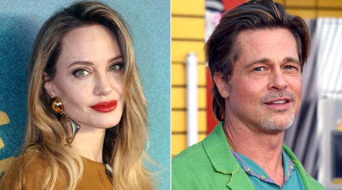 Brad Pitt accuses Angelina Jolie of utilizing vineyard sale to ‘punish’ actor