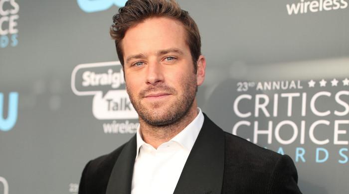 Armie Hammer displays on profession hit by cannibalism allegations