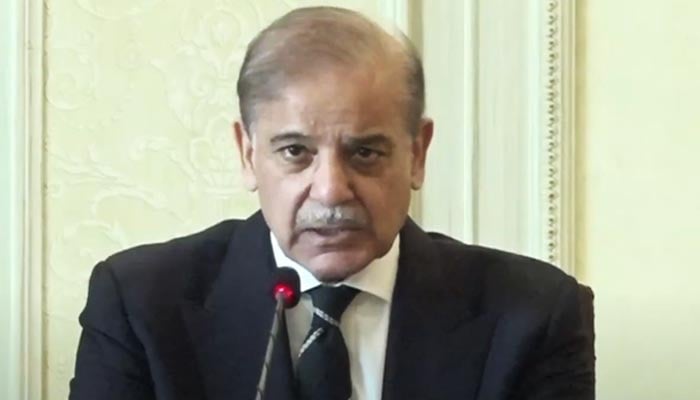 Prime Minister Shehbaz Sharif chairs a meeting of Central Apex Committee on National Action Plan on January, 3, 2025. — PMO