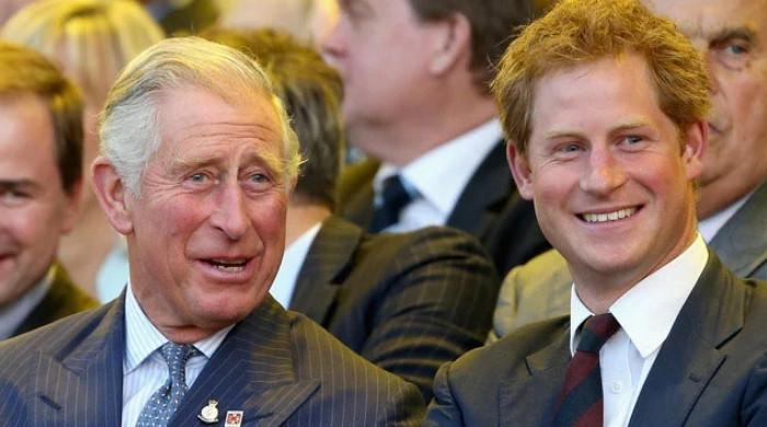 Prince Harry holds excessive hopes for reconciliation with King Charles by 2025