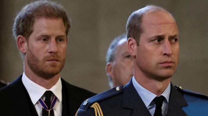 Prince William, Harry obtain heartbreaking information about tragic loss of life