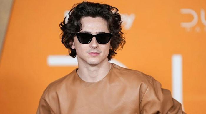 Timothee Chalamet sparks issues with suspicious exercise