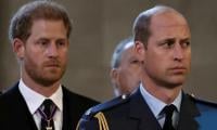 Prince William, Harry Receive Heartbreaking News About Tragic Death