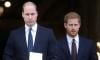 Prince William and Prince Harry are saddened by shocking news