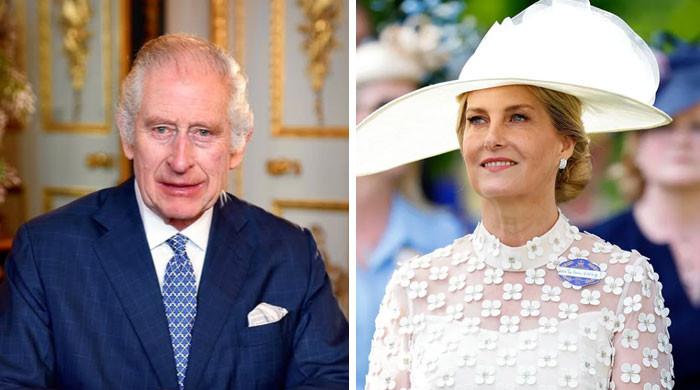 King Charles to provide Duchess Sophie excellent news: ‘recognition she deserves’