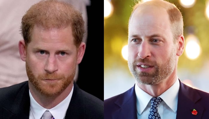 Prince Harry replaced by key figure as Prince William prepares to rule