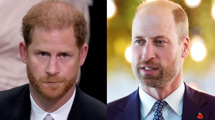 Prince Harry changed by key determine as Prince William prepares to rule