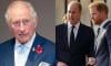 King Charles makes big decision amid speculation about abdication