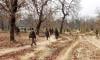 Eight policemen, driver killed in Maoist attack in central India