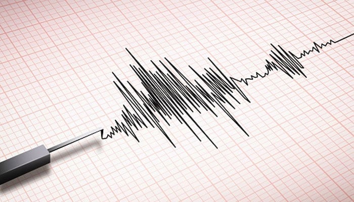 A representational image of a Richter scale measuring earthquake. — Unsplash/File