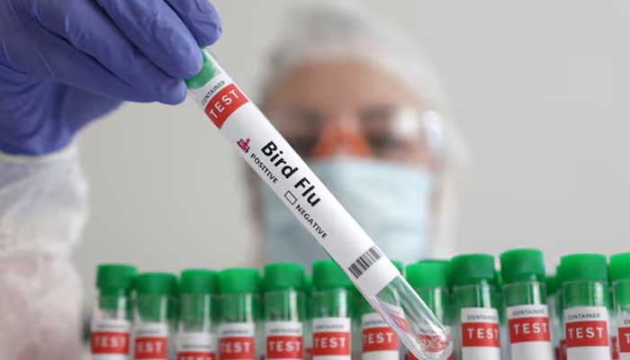 A person holds a test tube labelled Bird Flu, in this picture illustration, January 14, 2023. — Reuters