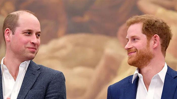 Prince William’s love for Harry fetches £10k amid feud